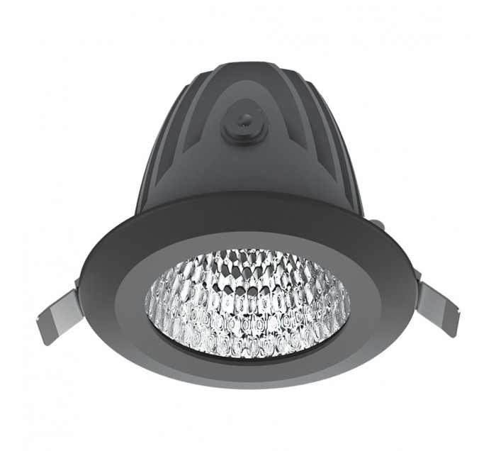 Argo store ceiling lights